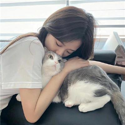 白痴之日海报
